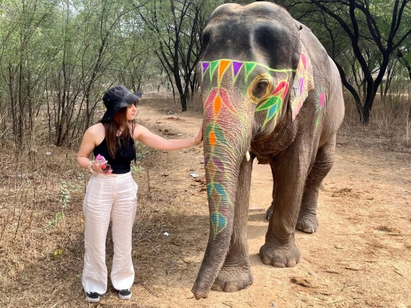 Elefun Best Elephant Sanctuary in Jaipur - Practical Tips for Your Visit