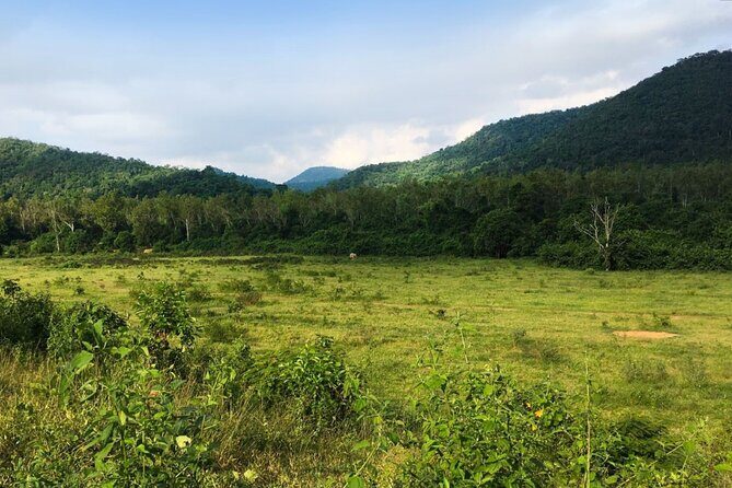 Elephant and Animal Watching in Kuiburi National Park - Join Afternoon Tour - An In-Depth Look at the Kuiburi National Park Wildlife Tour