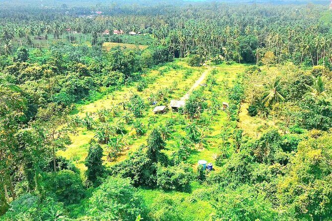 Elephant Care Experience - Who Will Love This Experience?