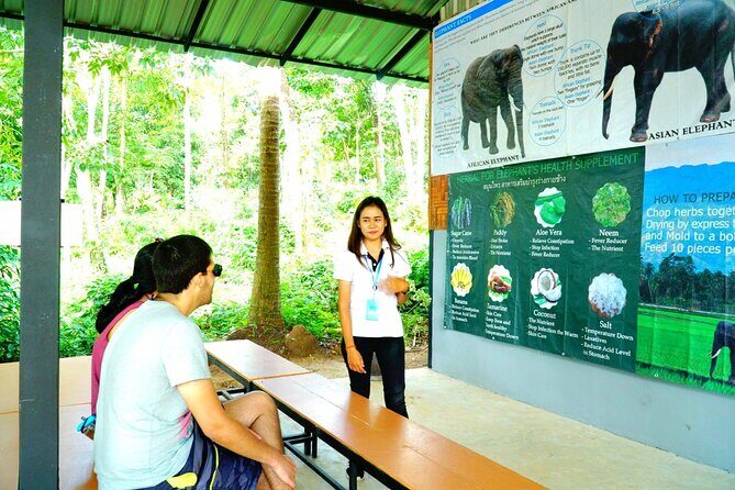 Elephant Care Experience - The Sum Up: Is It Worth It?