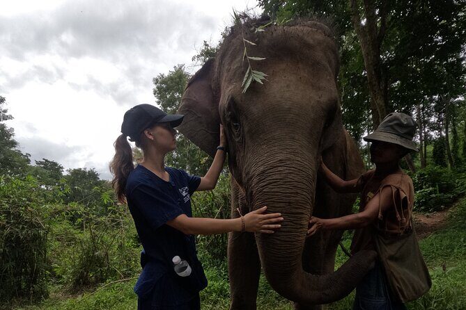 Elephant care program at Chiangmai Elephant Care - Who Will Enjoy This Tour?