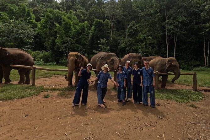 Elephant care program at Chiangmai Elephant Care - FAQs