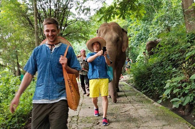 Elephant Experience and Hidden Jungle Waterfall Chiang Mai - FAQ