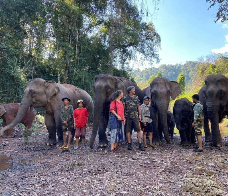 Elephant Home Sanctuary in Muang Thong Sayaboury Laos - FAQ