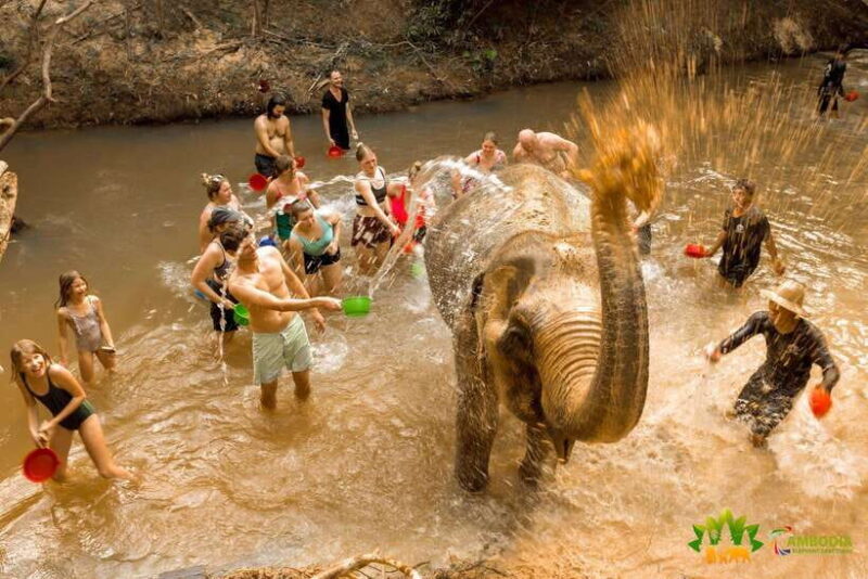 Elephant Sanctuary Cambodia, Pickup and drop off included - Why We Think This Tour Is a Great Choice