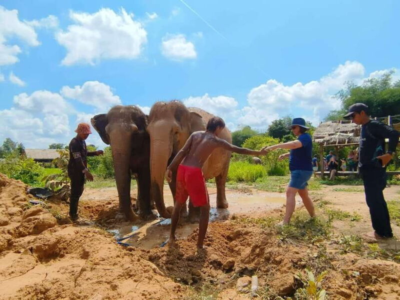 Elephant Sanctuary Cambodia, Pickup and drop off included - Who Will Love This Experience?