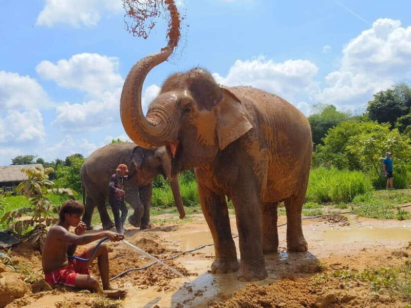 Elephant Sanctuary Cambodia, Pickup and drop off included - Frequently Asked Questions (FAQs)