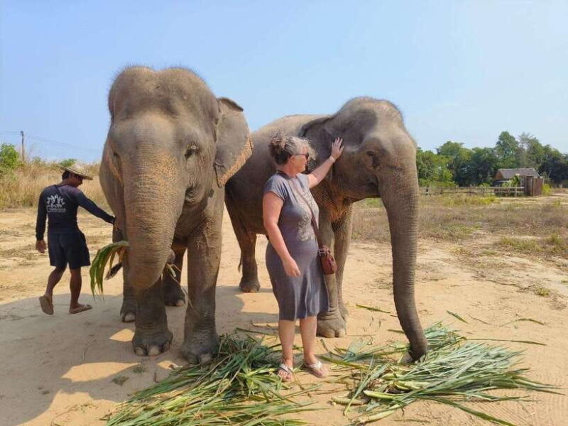 Elephant Sanctuary Cambodia, Pickup and drop off included - Final Thoughts