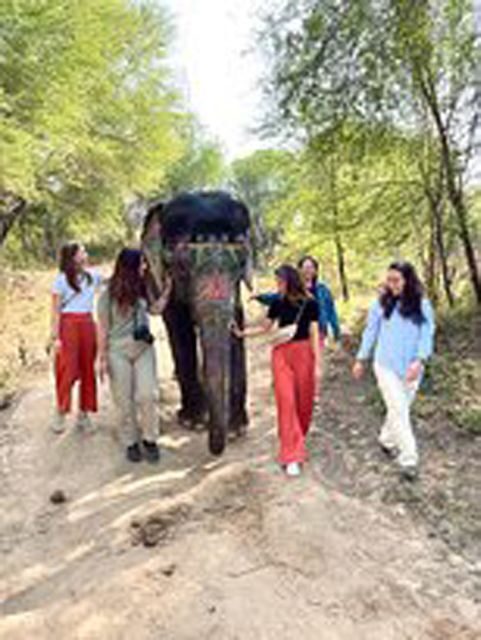 Elephant Sanctuary for Best elephant experience in Jaipur - An Honest Look at the Jaipur Elephant Sanctuary Experience