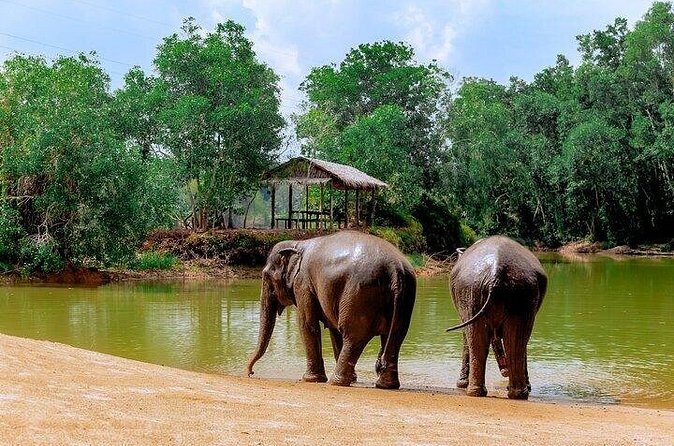 Elephant Sanctuary Small Group Tour in Phuket - Final Thoughts