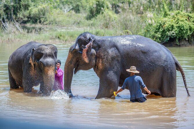 Elephant Sanctuary Small Group Tour in Phuket - Who is this tour best suited for?