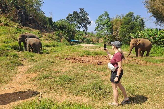Elephant Sanctuary, Wat Ban Den & Sticky Waterfall - Transportation and Practicalities