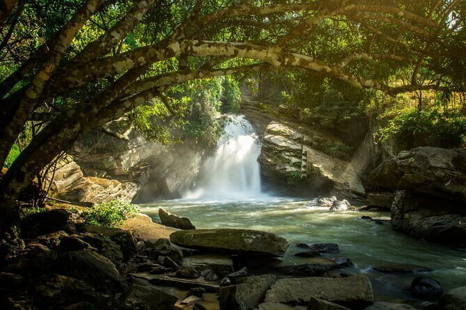 Elephant Sanctuary + Waterfall + Bamboo Rafting One Day Trip - A Deep Dive into the Tour Experience