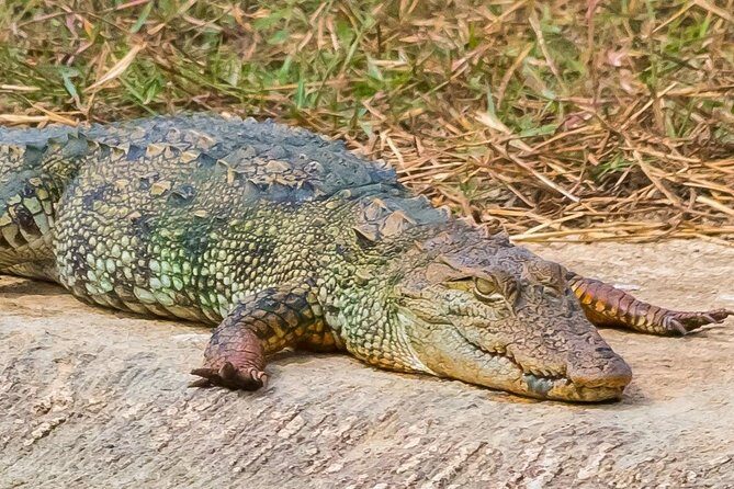 Elephant Transit Home Udawalawe with Jeep safari from Colombo - FAQs