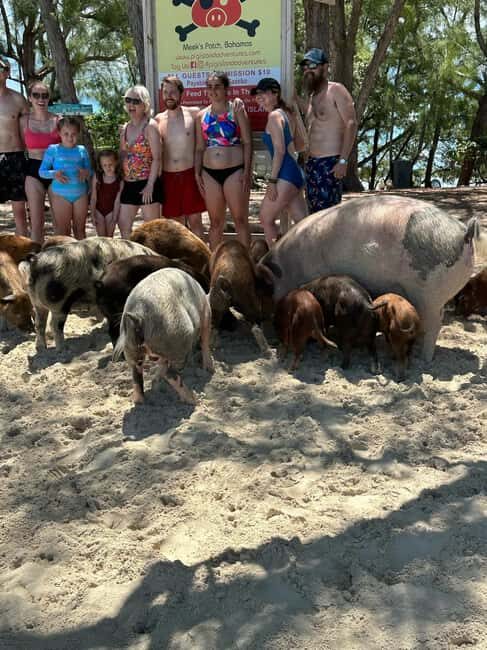Eleuthera Adventure: Swings, Pigs, and Reefs - FAQ