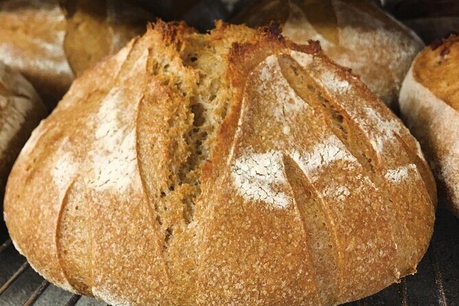 Elfin Forest Nature Tour with Local Sweet and Savory Tasting - Final Thoughts