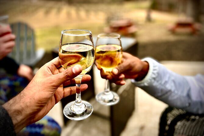 Elijay Hike w/ Waterfall & Wine Tasting Private Tour from ATL - Exploring the Elijay Hike with Waterfall & Wine Tasting Private Tour from Atlanta