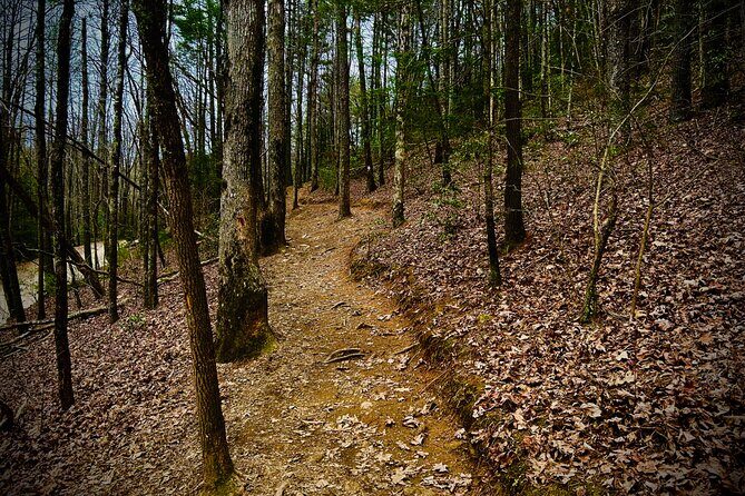 Elijay Hike w/ Waterfall & Wine Tasting Private Tour from ATL - Key Points