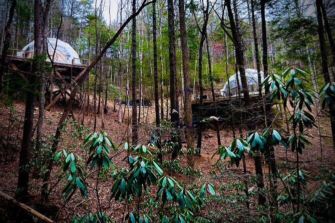 Elijay Hike w/ Waterfall & Wine Tasting Private Tour from ATL - Why This Tour Offers Good Value