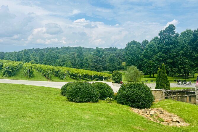 Elijay Three Vineyards Private Wine Tasting Tour from Atlanta - Real Traveler Insights