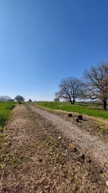 Elis: Tour of the Ancient Site & Museum by an Archaeologist - Practical Details and Tips
