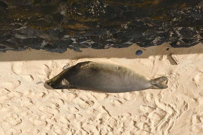 Elite Private Tour - Authentic Experiences That Set This Tour Apart