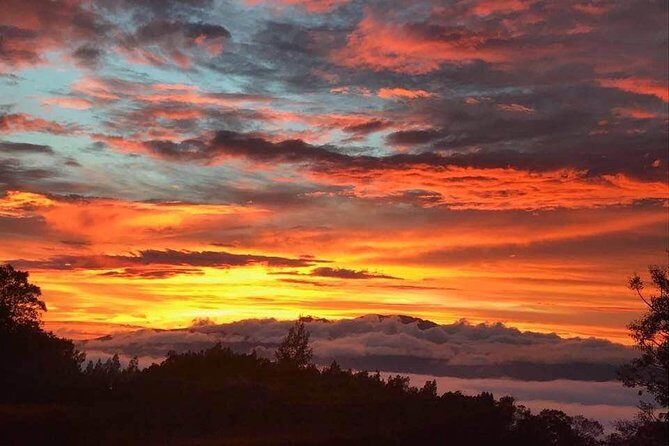 Elite Private Tour - Is It Worth the Price?