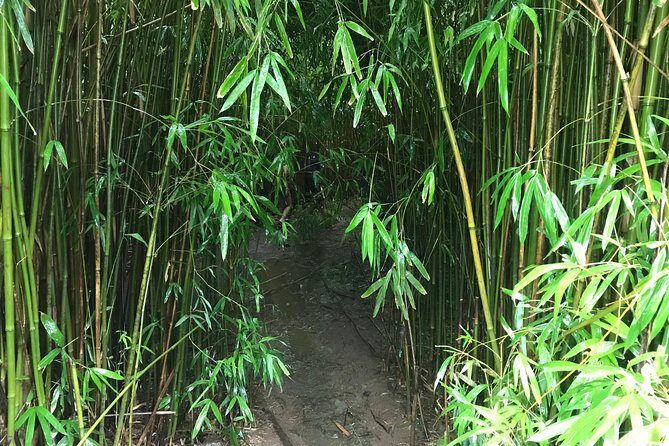 Elite Private Tour - The Sum Up