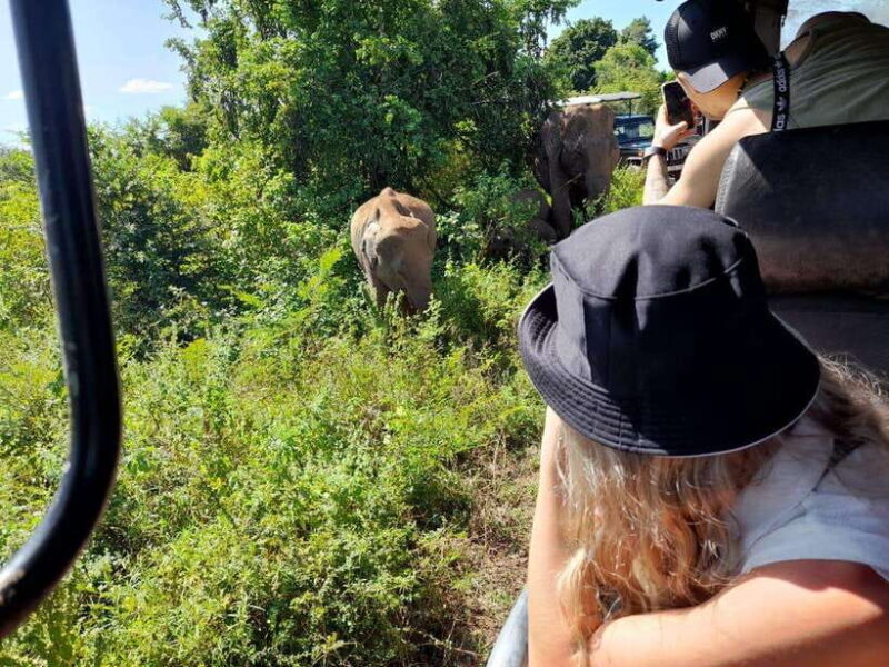 Ella: 1 Day tour to Badulla / Haputale / Mahiyanganaya - FAQ