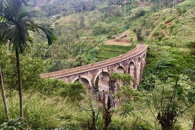 Ella 3 Icons Private Tour - Final Thoughts: Who Is This Tour For?