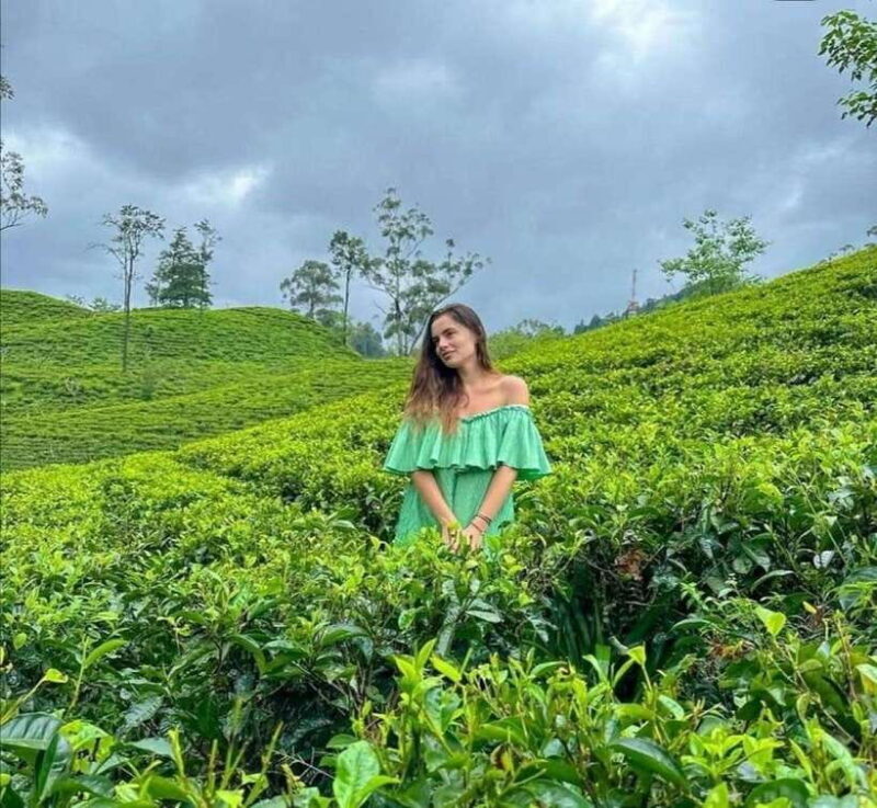 Ella: Adventure day trip to explore Ella by tuk tuk - FAQ