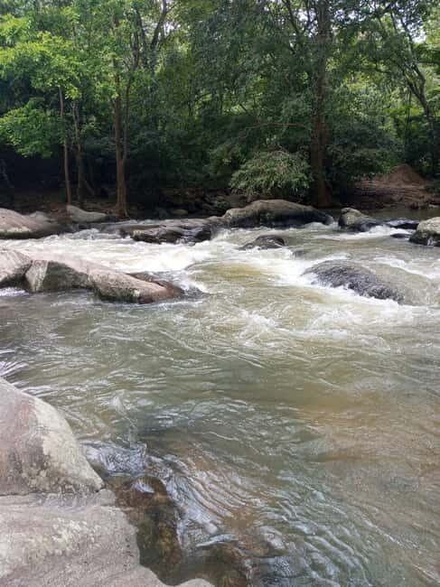 Ella: Authentic village tour with Sri Lankan lifestyle & way - Key Points