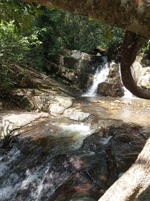 Ella: Authentic village tour with Sri Lankan lifestyle & way - Why This Tour Offers Great Value