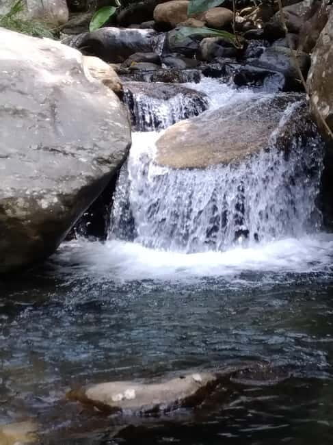 Ella: Cinnamon, Spice Garden & Waterfall tour - Whats Included and Whats Not