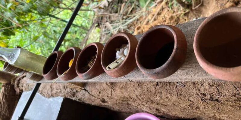 Ella Cook With Sadamali - Why Choose This Cooking Class?