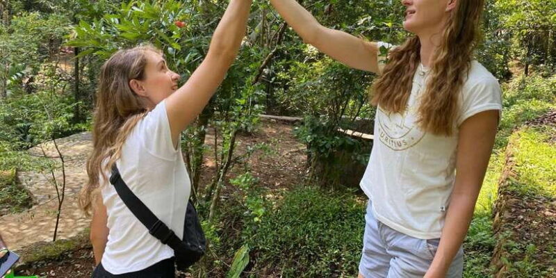 Ella : Cooking class with amazing Spice Garden Tour - The Sum Up