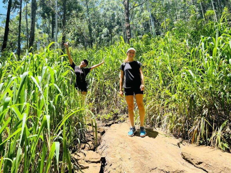 Ella Day Tour from Kandy with tea factory - Key Points