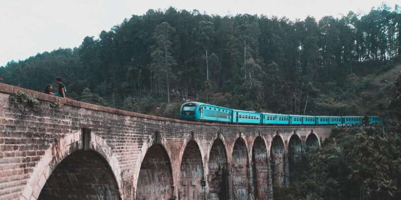 Ella Day Tour: with Tea Factory Visit From Colombo/ Negombo - Ella Day Tour: with Tea Factory Visit From Colombo/Negombo