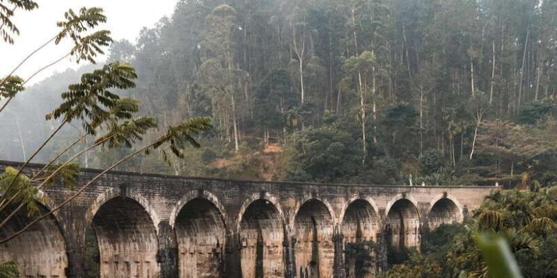 Ella Day Tour: with Tea Factory Visit From Colombo/ Negombo - Practical Tips for the Tour