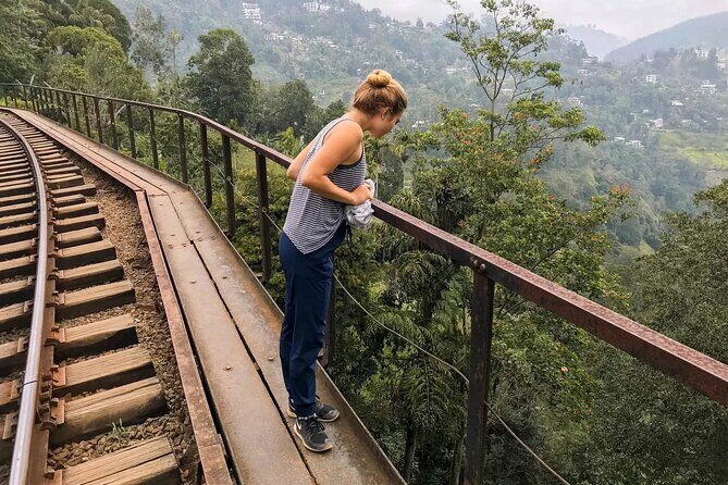 Ella Day Tour with Tea Factory visit From Pasikudah - Who Will Appreciate This Tour?