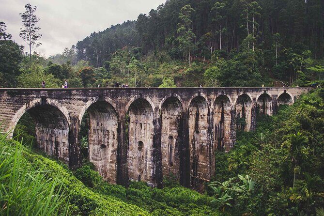 Ella Day Tour with Tea Factory visit From Pasikudah - Final Thoughts: Is This Tour Worth It?