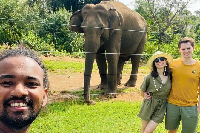 Ella Day Trip with Train Ride Waterfalls and Tea Factory Tour - The Complete Review of the Ella Day Trip with Waterfalls, Train Ride, and Tea Factory