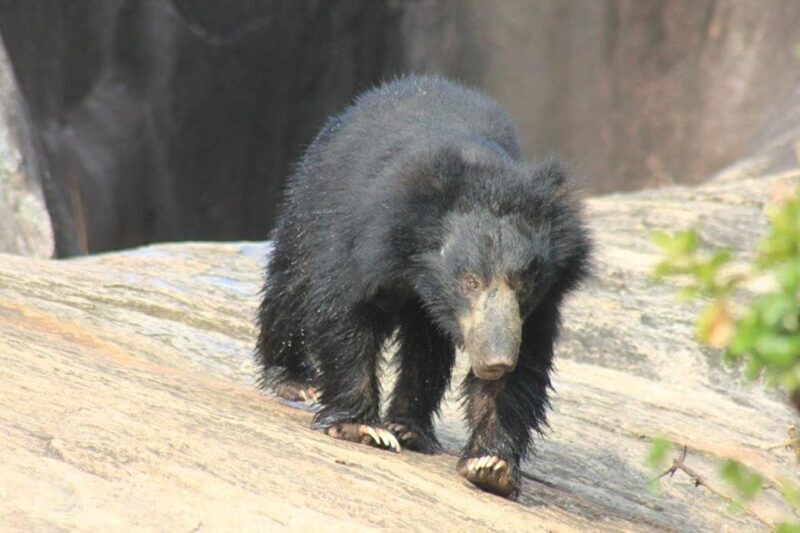 Ella: Drop to Tangalle/Hiriketiya/Mirissa/Galle & Yala Tour - The Experience in Practice