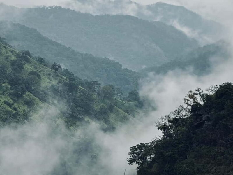 Ella Full-Day Tour from Mirissa/Ahangama/Hikkaduwa/Bentota - Who Will Love This Tour?