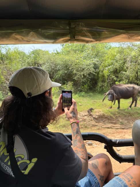 Ella: Highlands to Coast Tour With Safari & Village Lunch - Starting the Day: From Misty Highlands to Sunny Plains