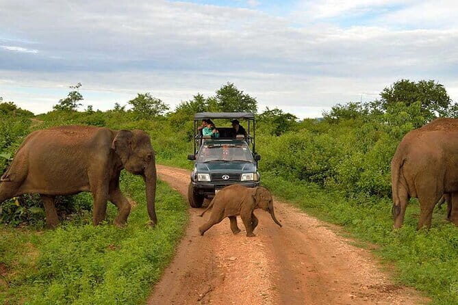 Ella Hotel to Colombo Hotel Transfers - Final Thoughts: Is This Transfer Worth It?