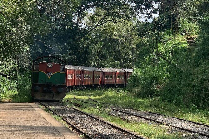 Ella Private Day Tour - Departing from Any Location in Sri Lanka - Exploring the Ella Day Tour: A Deep Dive