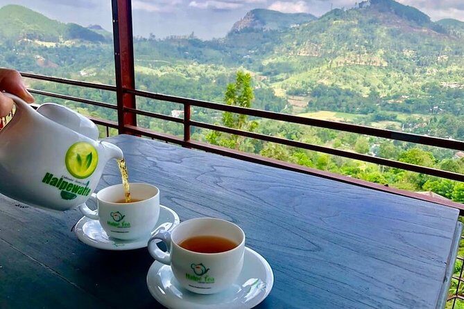 Ella Private Day Tour From Kandy - Final Thoughts