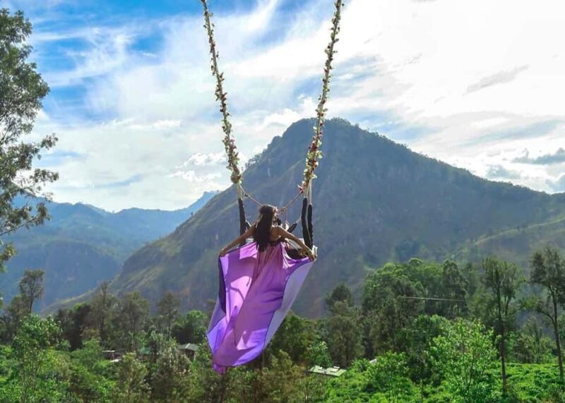 Ella Swing - An In-Depth Look at the Ella Swing Experience