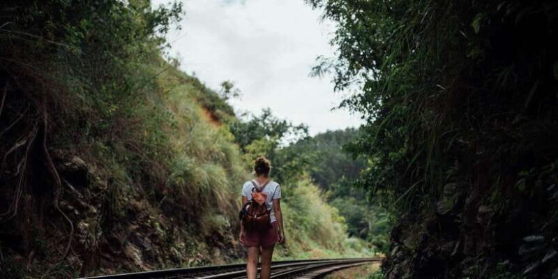 Ella: Tea Factory, Train, and Nine Arch Day Tour with Pickup - Key Points